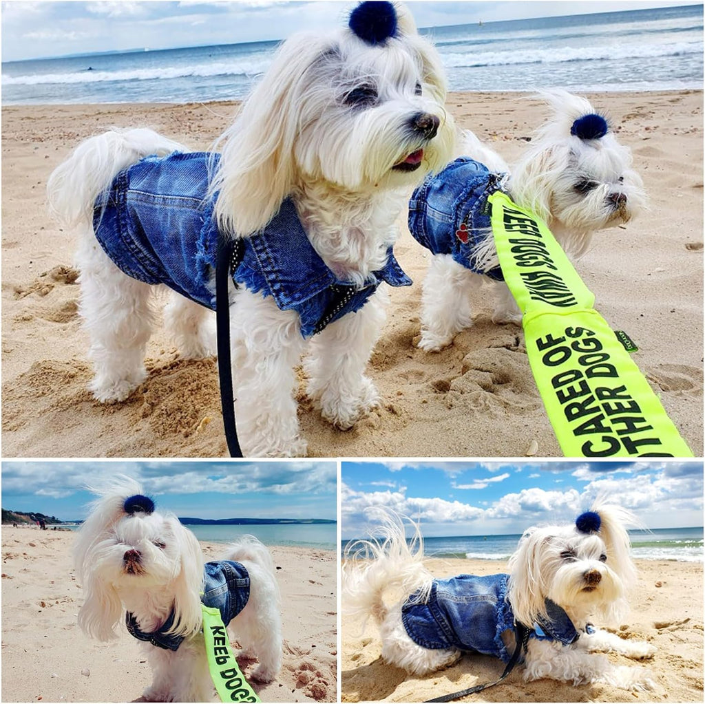 Dog Jeans Jacket Pet Denim Vest, Dog Clothes for Small Dogs & Puppies