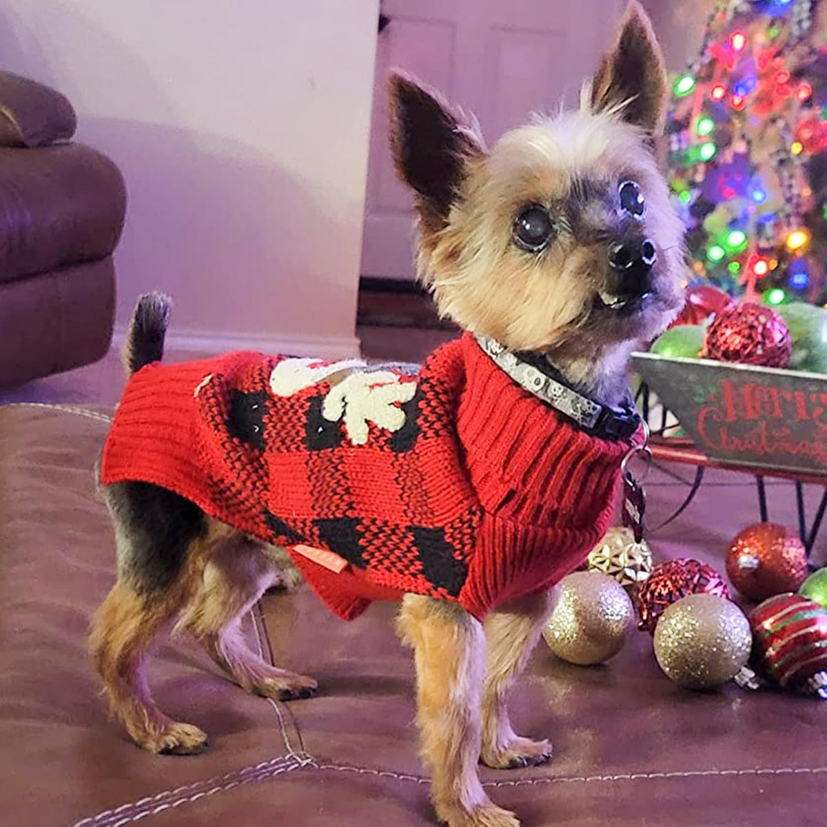 Dog Christmas Sweater for Small Dogs with Red Buffalo Plaid Reindeer
