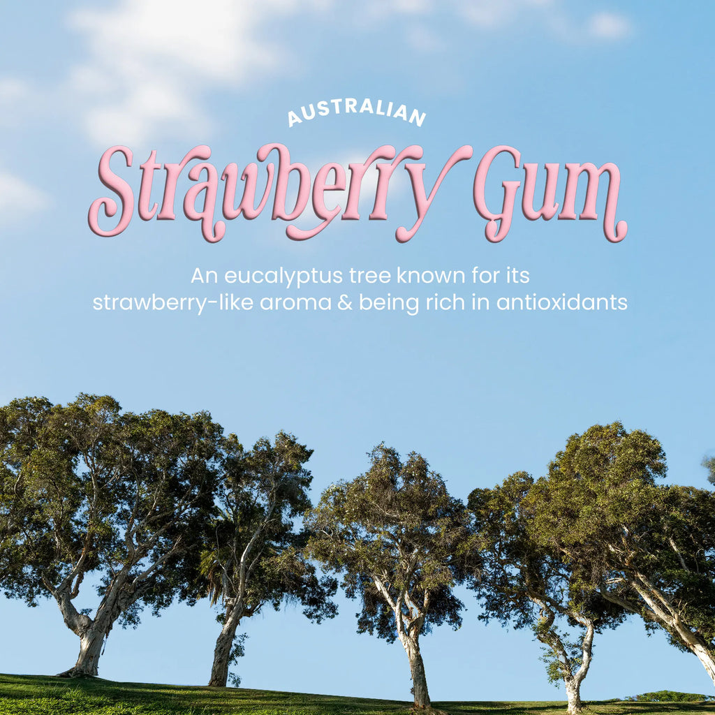 Strawberry Gum Grip Slick Back Styling Stick