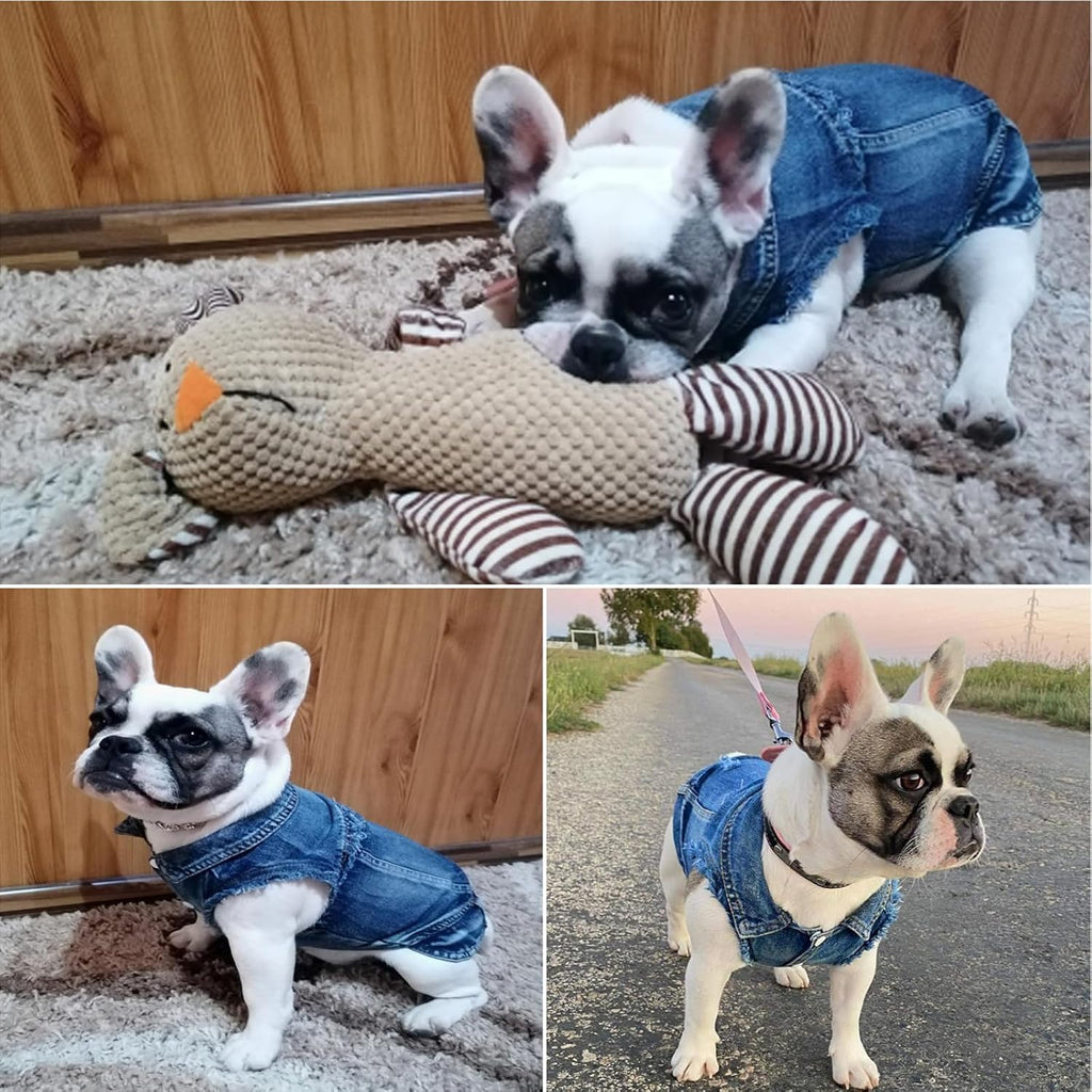 Dog Jeans Jacket Pet Denim Vest, Dog Clothes for Small Dogs & Puppies