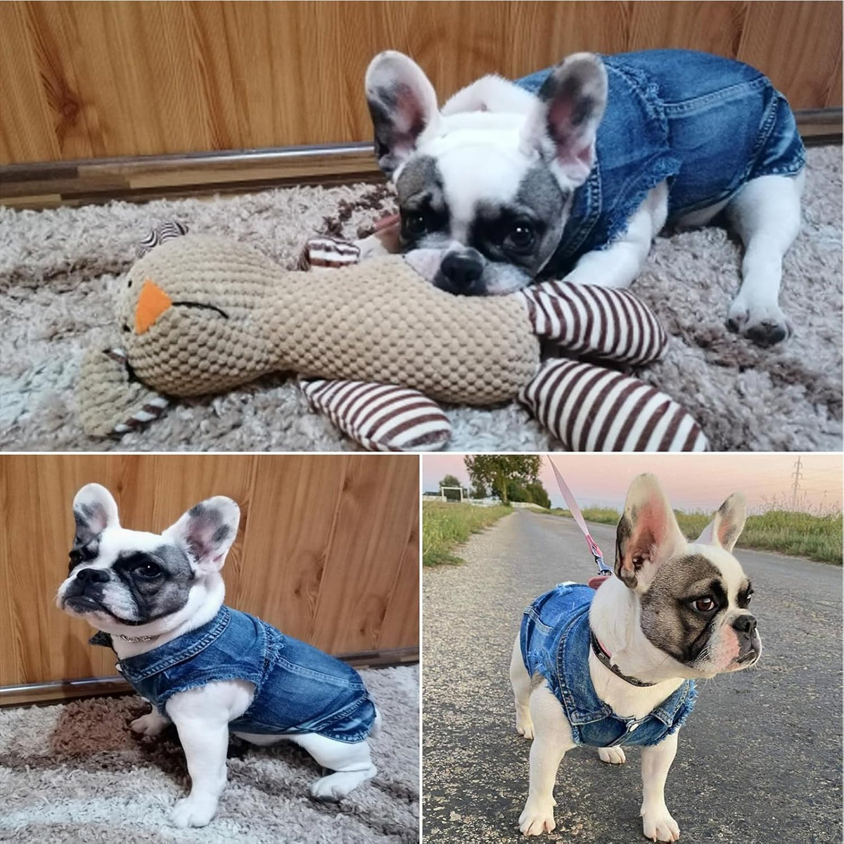Dog Jeans Jacket Pet Denim Vest, Dog Clothes for Small Dogs & Puppies
