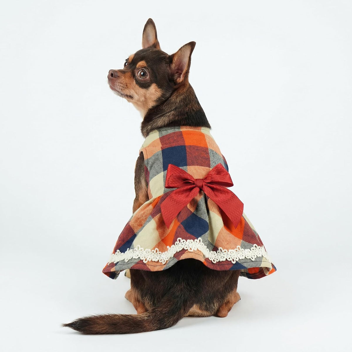 Christmas Elegant Lace Plaid Dog Dress for Pet Clothes Shirts Apparel, Small