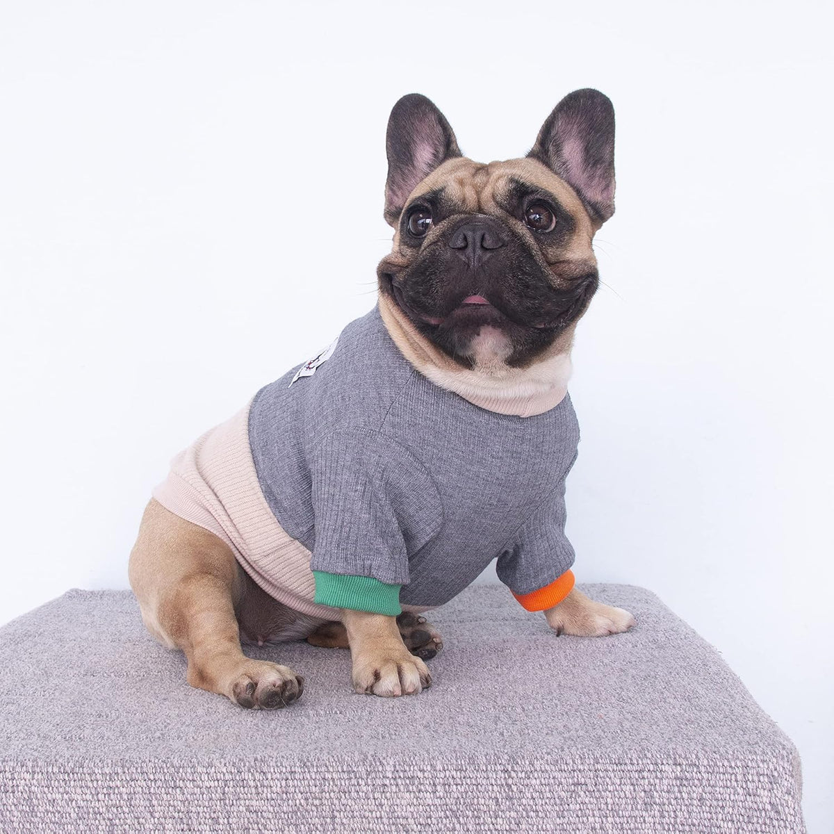Pet Dog Crewneck Sweater Color Block Pullover Winter Warm Clothes for English Bulldog Bully Pitbull - Grey and Yellow/Xlarge