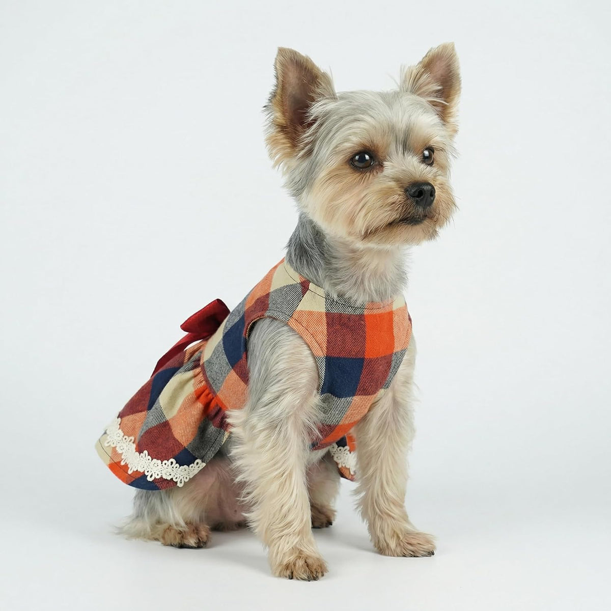 Christmas Elegant Lace Plaid Dog Dress for Pet Clothes Shirts Apparel, Small