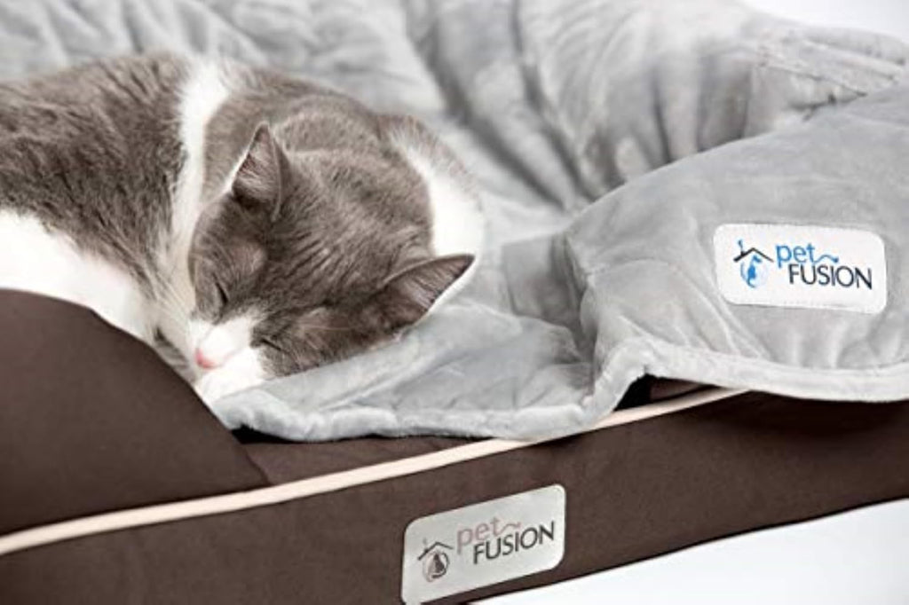 Ultimate Dog Bed, Orthopedic Memory Foam, Waterproof Cover Liner