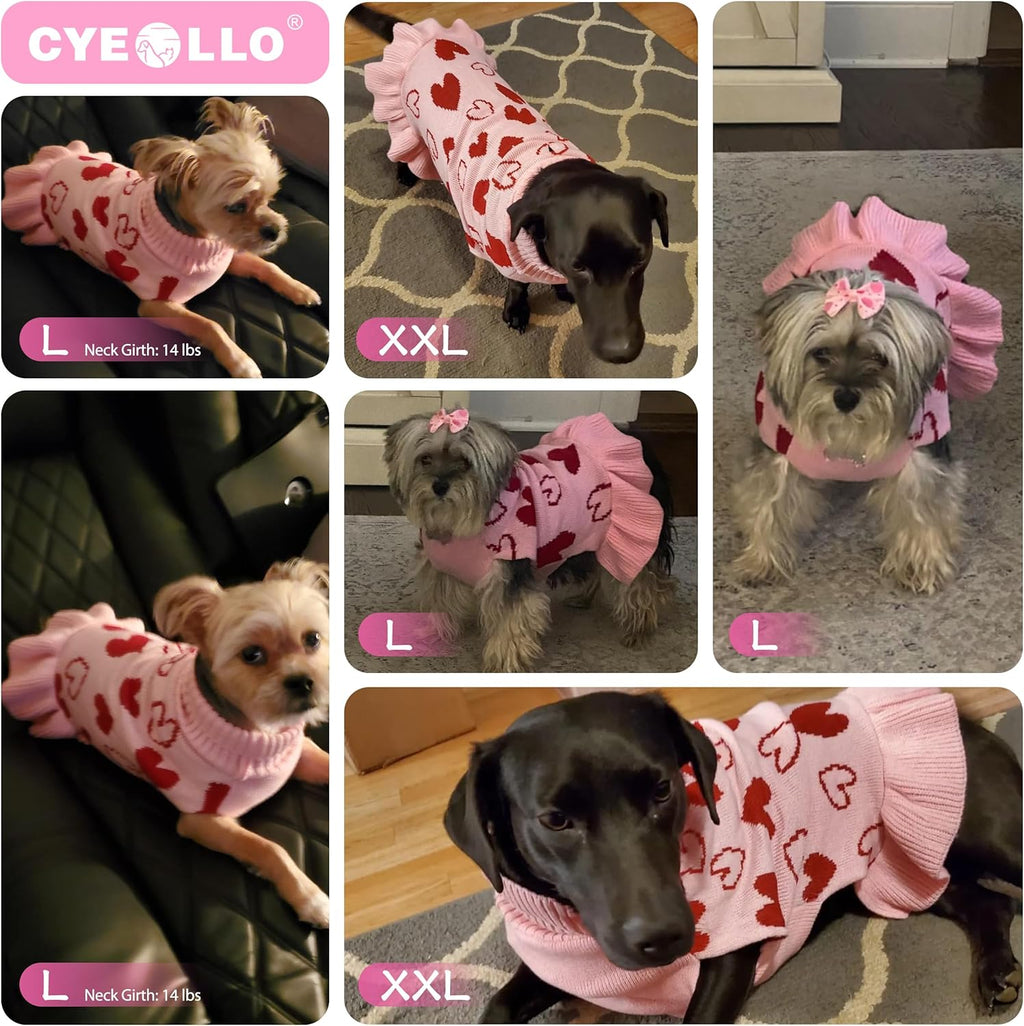 Valentines Dog Sweater Dress, Turtleneck Pullover Heart Outfit