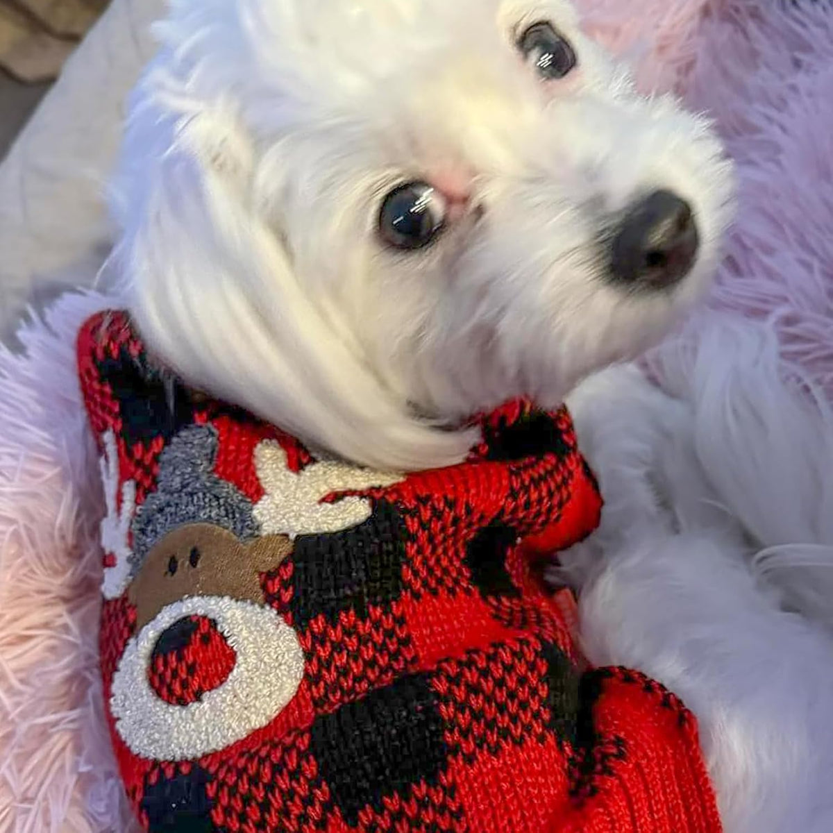 Dog Christmas Sweater for Small Dogs with Red Buffalo Plaid Reindeer